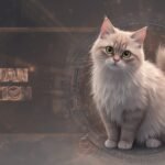 The Ultimate Persian Cat Diet Guide for a Pawsitively Healthy 2026