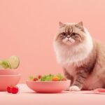 Secrets to a Super Healthy Persian Cat Diet in 2026