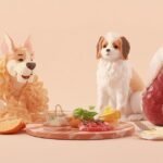 The Persian Diet Decoded What Your Fluffy Friend Really Needs in 2026
