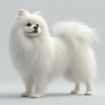 The Secret to a Silky Persian Coat Every Owner Needs to Know for 2026
