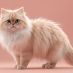 Tangled No More Your Persian Cat's Secret to a Silky Coat in 2026!